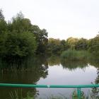 zdjęcie nr 8