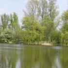 zdjęcie nr 7