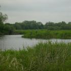 zdjęcie nr 5