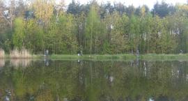 Przygotowanie do zawodów