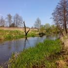 rz. Iłżanka w m. Ciepielów