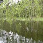 Fotka nr 5 z 7