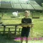 amur