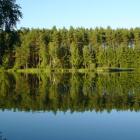 źródło:zalewkoronowski.yoyo.pl
