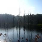 fot.granicho-bez-4