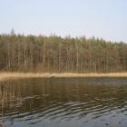 jez. jachna - źródło: www.karpiarzpila.wedkuje.pl