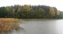 fot.malina