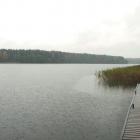 fot.malina