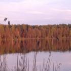 źródło: pzw-włodawa.com