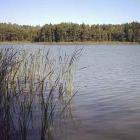 źródło: www.powiat.brodnica.net
