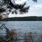 źródło: www.powiat.brodnica.net