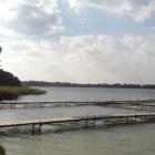 Jezioro Białe (Włodawskie)