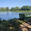 zdjęcie nr 
