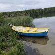 zdjęcie nr 