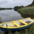 zdjęcie nr 