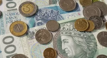 Ile PZW zarobiło w 2024 roku?