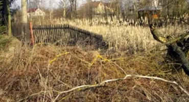 Publiczne jeziora dla wszystkich – nielegalne ogrodzenia pod lupą Wód Polskich
