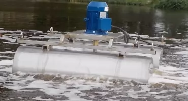Śnięte ryby w rzece Elbląg
