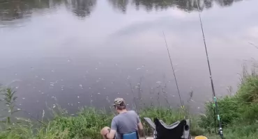 Gruntowe Mistrzostwa Koła