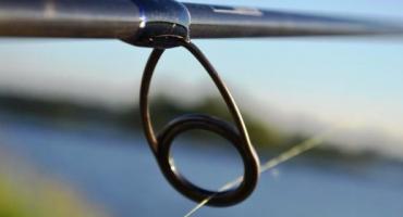 Robinson Diplomat Perch Jig 3-15g